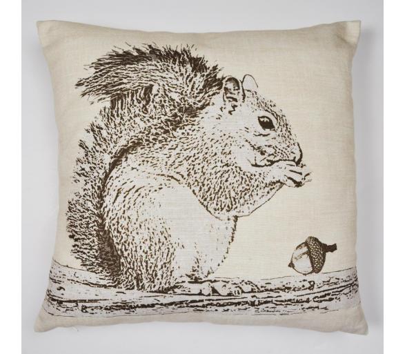 Woodland Squirrel